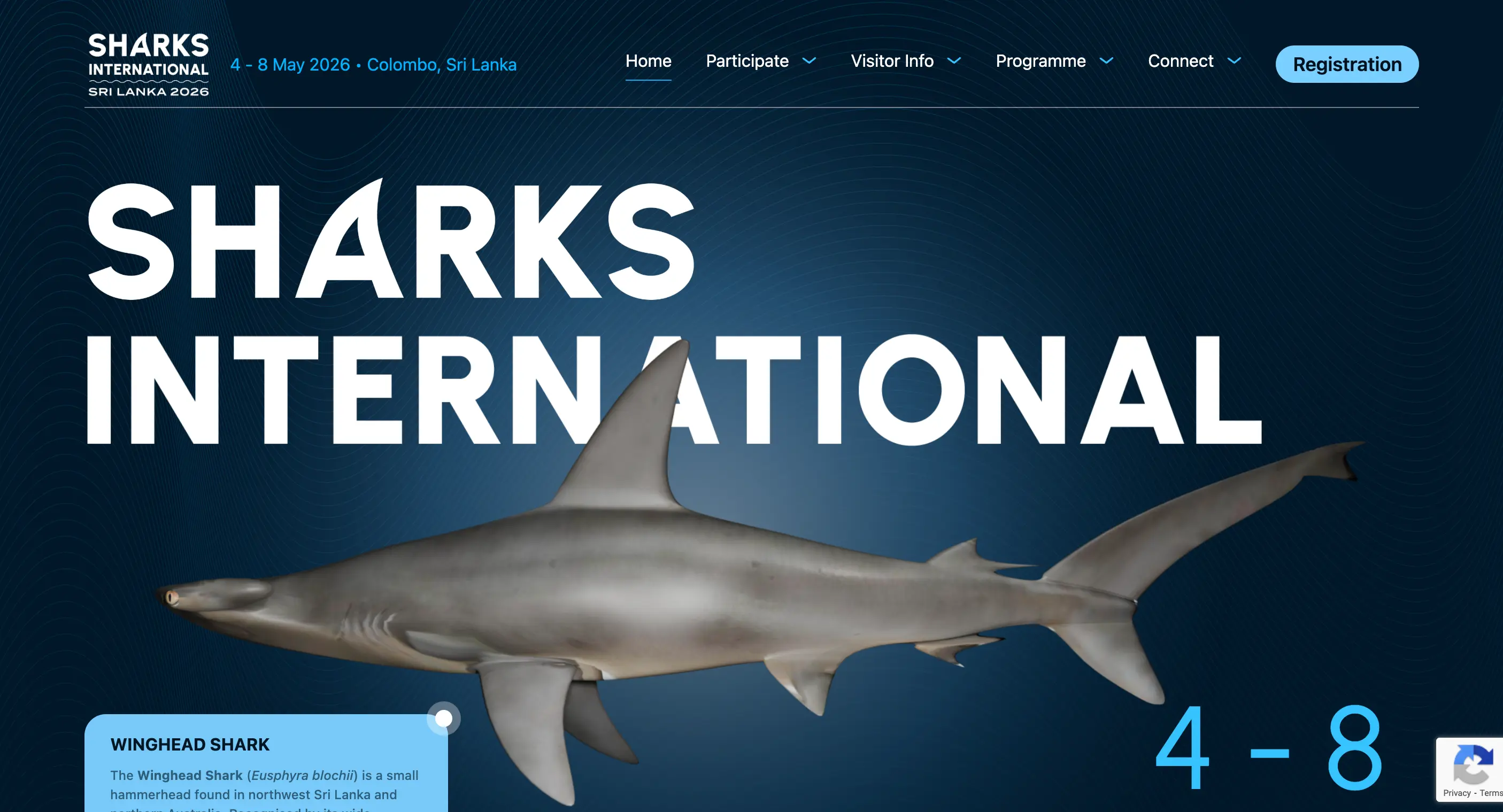 Sharks International